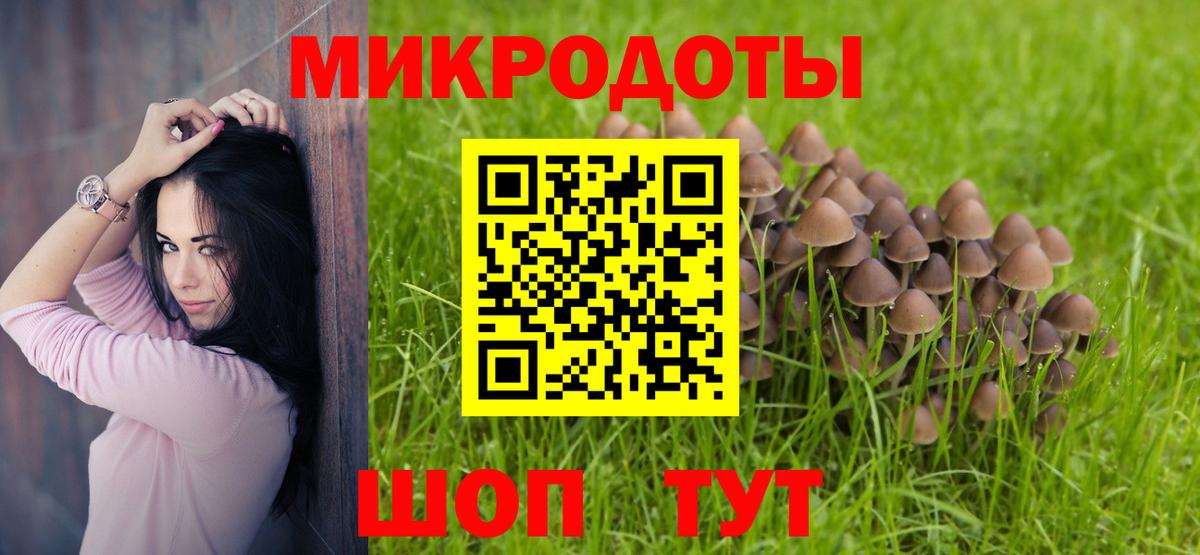 Галлюциногенные грибы Psilocybe  что такое   Черняховск  Вход с VPN 